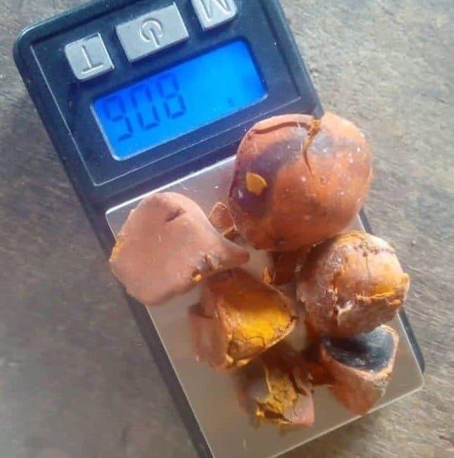 Ox Cow Gallstone