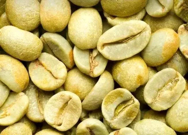 ROBUSTA and ARABICA COFFEE BEANS - Image 4