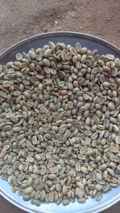 ROBUSTA and ARABICA COFFEE BEANS - Image 5