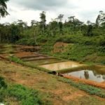 View photo 6 of Feeds for fish farms