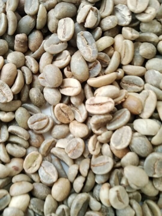 ROBUSTA and ARABICA COFFEE BEANS - Image 6