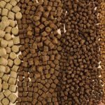 View photo 1 of Feeds for fish farms
