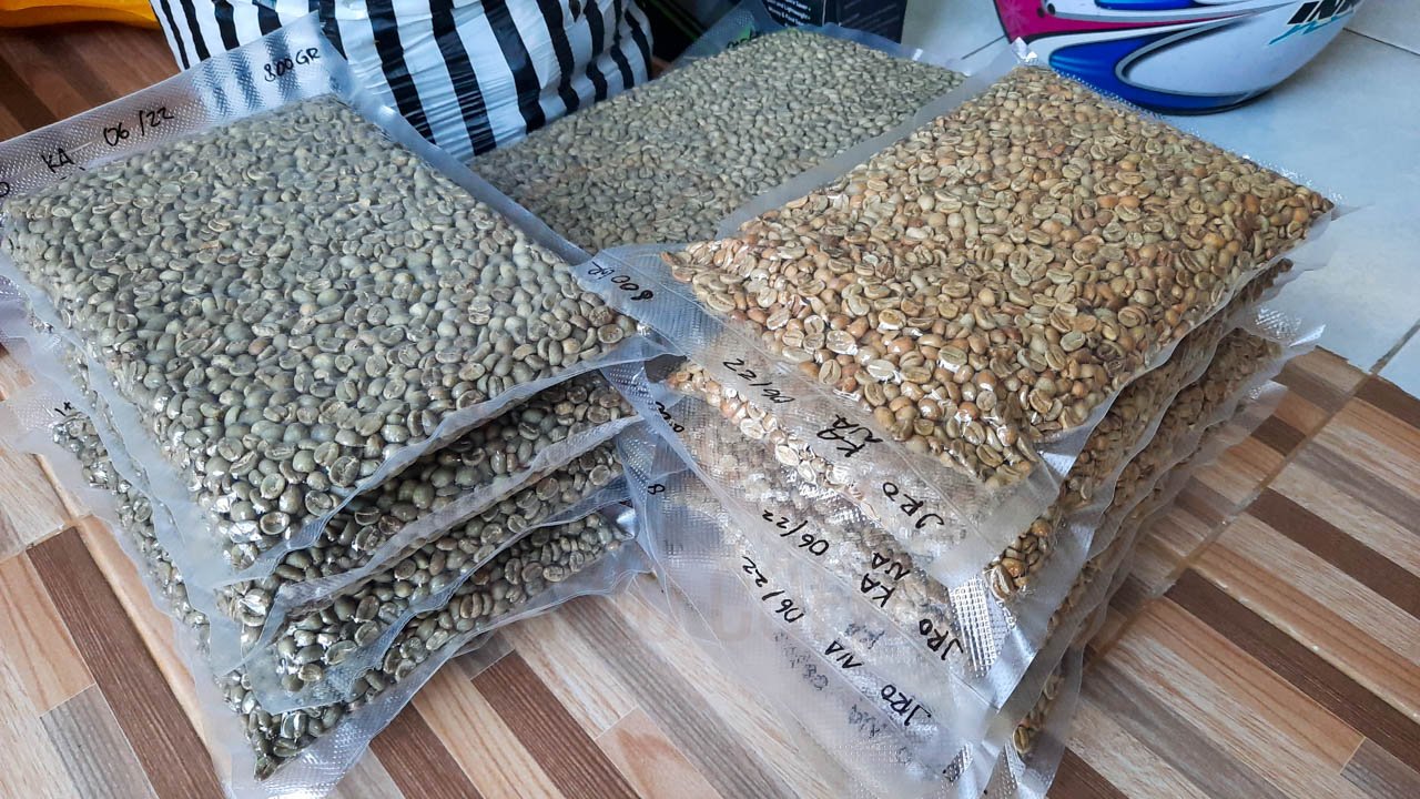 ROBUSTA and ARABICA COFFEE BEANS