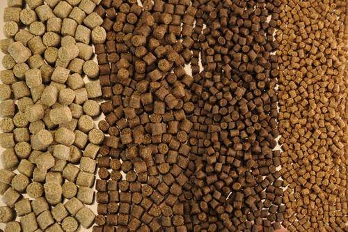 Feeds for fish farms