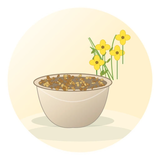 Canola Meal