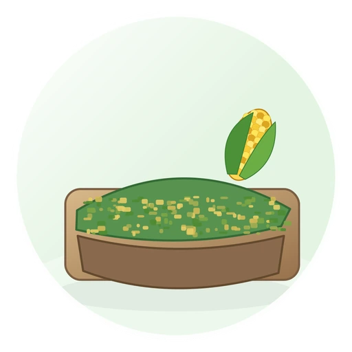 Corn Silage Forage