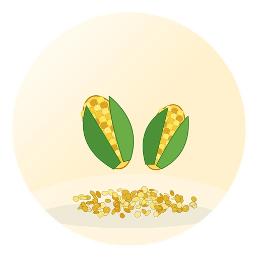 Yellow Corn Animal Feed (Maize)​​