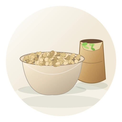 Soybean Meal
