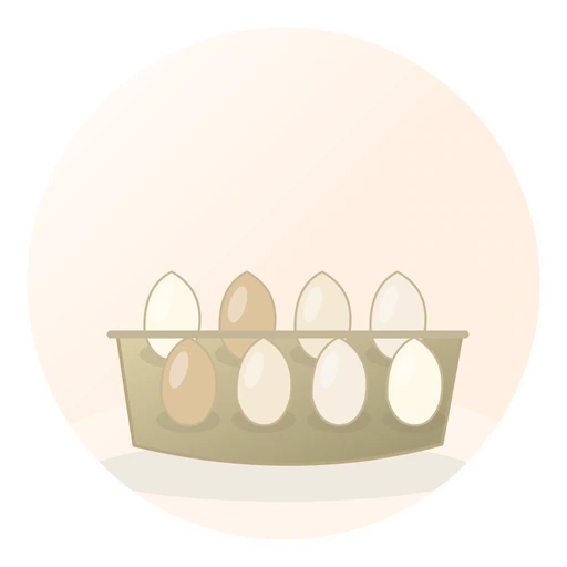 Broiler Hatching Eggs Cobb 500 And Ross 308 And Chicken Table Eggs